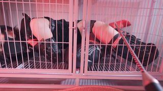 【悠米】《欠债人妻4》和被驯服的妖艳人妻玩起了K9+电棍击打+狗奴爬行+项圈+AV棒强羔+吊脖缚+对镜玩弄+跪缚+狗笼+关在笼子里学猫叫+SP